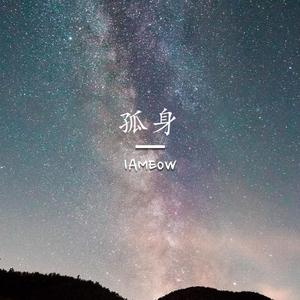 台湾真军巜逍遥双枪
